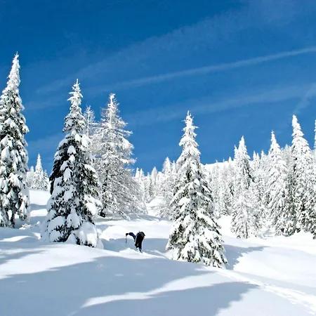 Nature Bio Elite Hotel Levico Terme